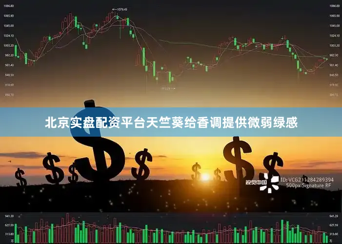 北京实盘配资平台天竺葵给香调提供微弱绿感