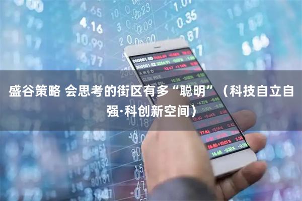 盛谷策略 会思考的街区有多“聪明”（科技自立自强·科创新空间）