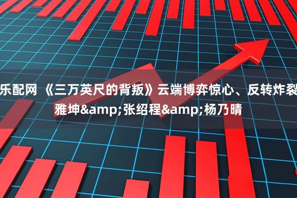 乐配网 《三万英尺的背叛》云端博弈惊心、反转炸裂雅坤&张绍程&杨乃晴